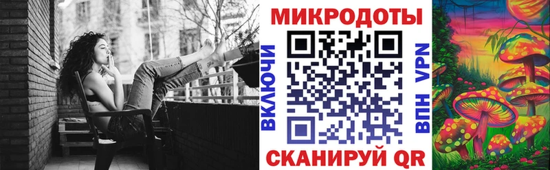 Купить Абакан Псилоцибиновые грибы Magic Shrooms